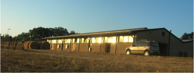 emozoo facility